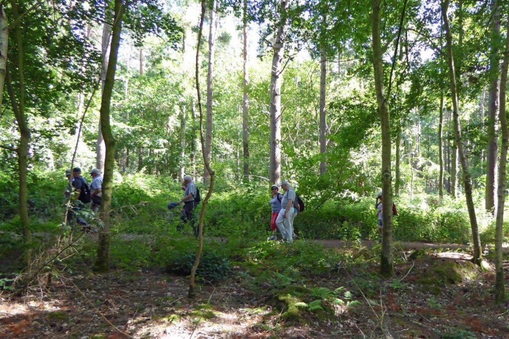 bierbeek16.jpg