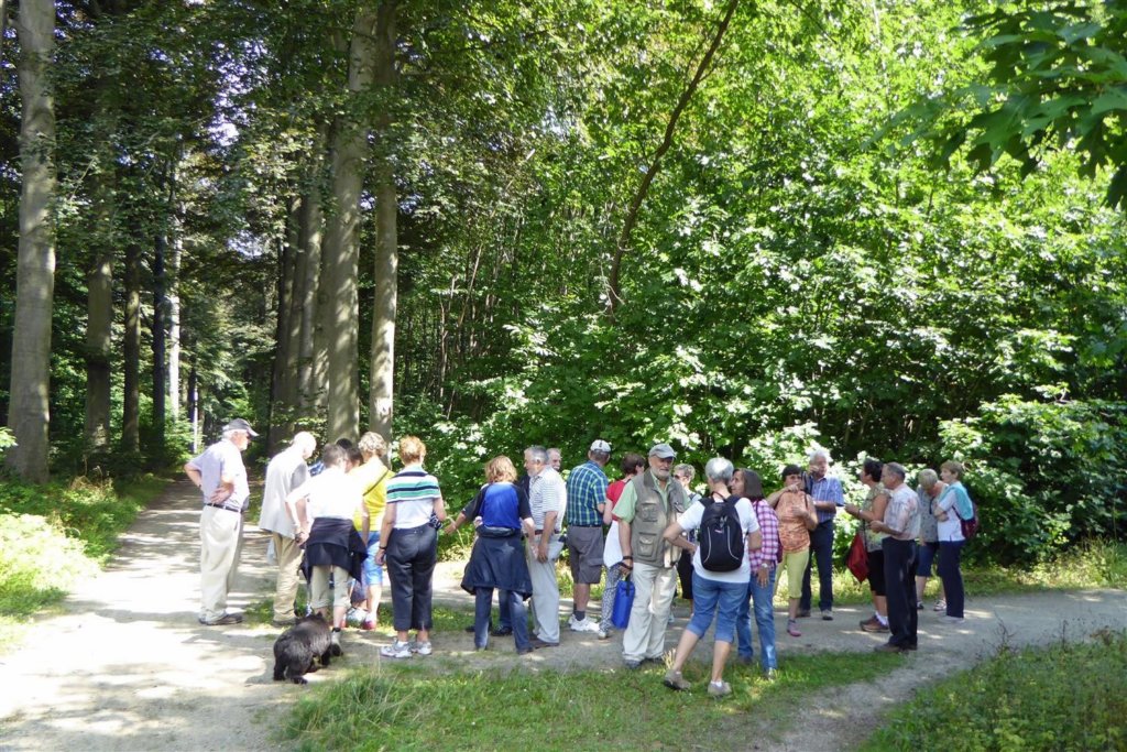 heverlee07.jpg