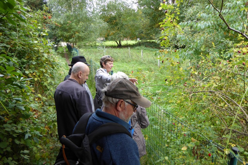 rotselaar06.jpg