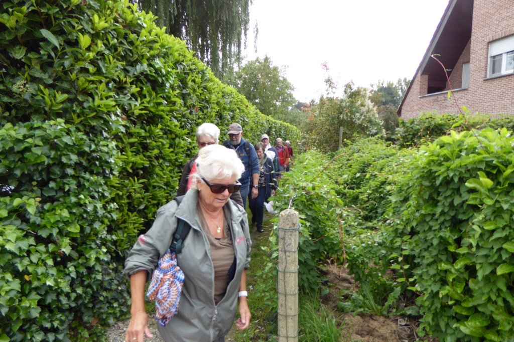 rotselaar07.jpg