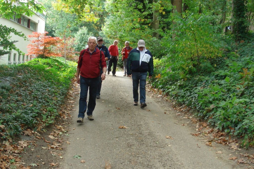 rotselaar09.jpg