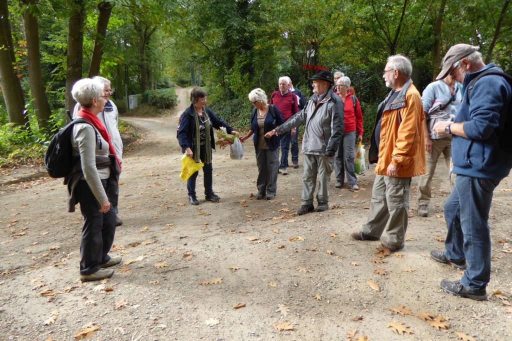 rotselaar12.jpg