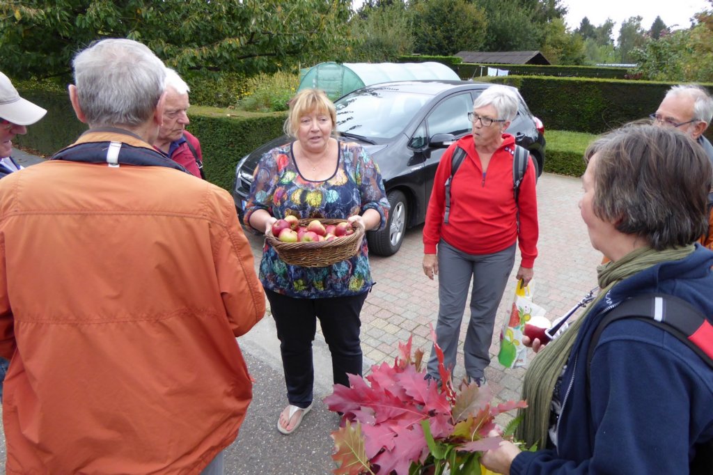rotselaar17.jpg