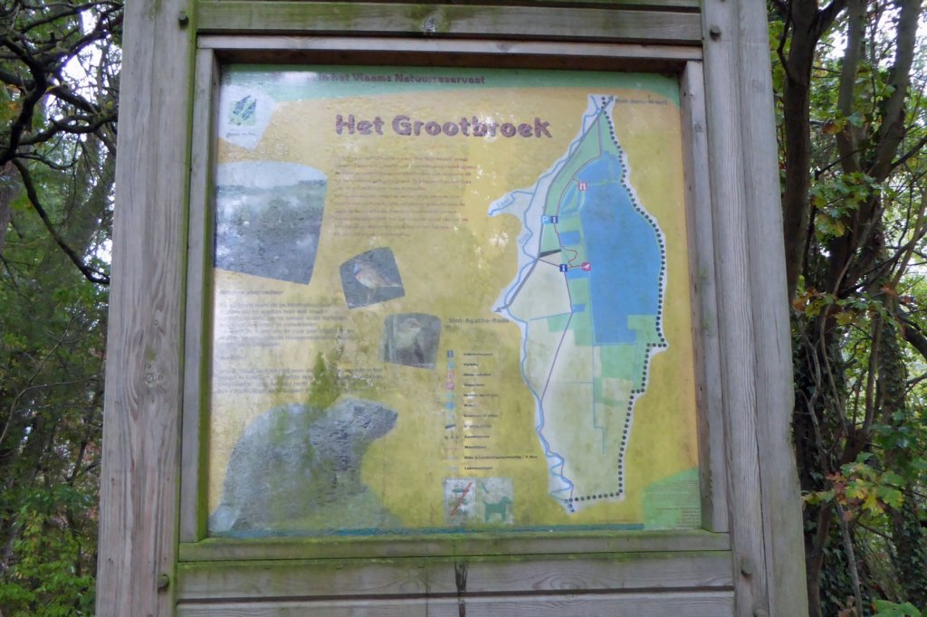 stagatharode07.jpg