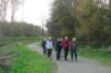 diest15_small.jpg