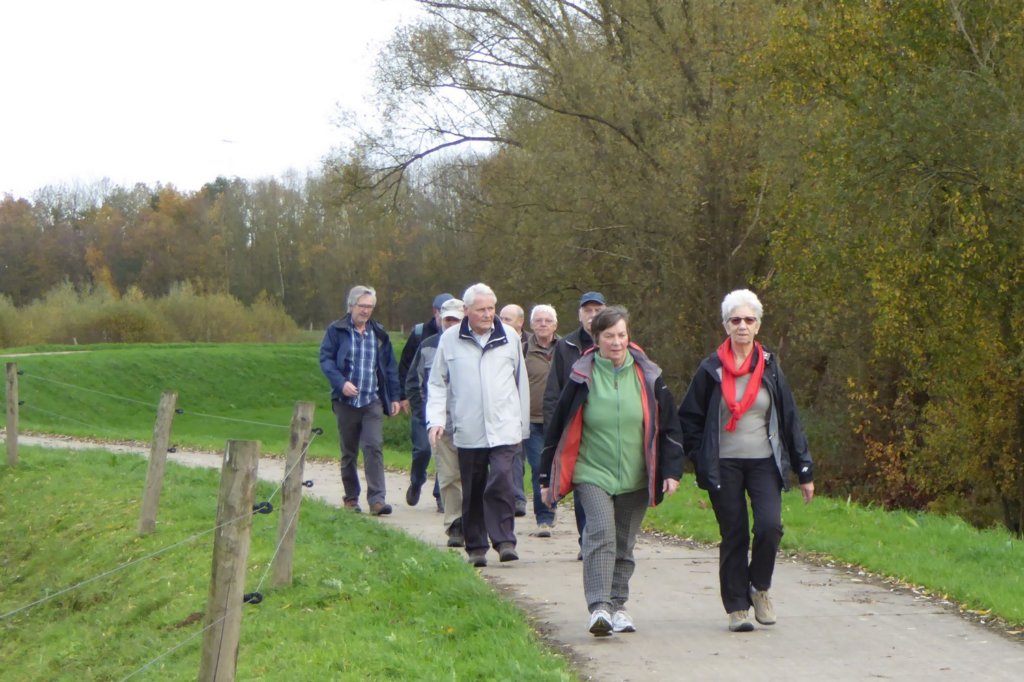 diest17.jpg