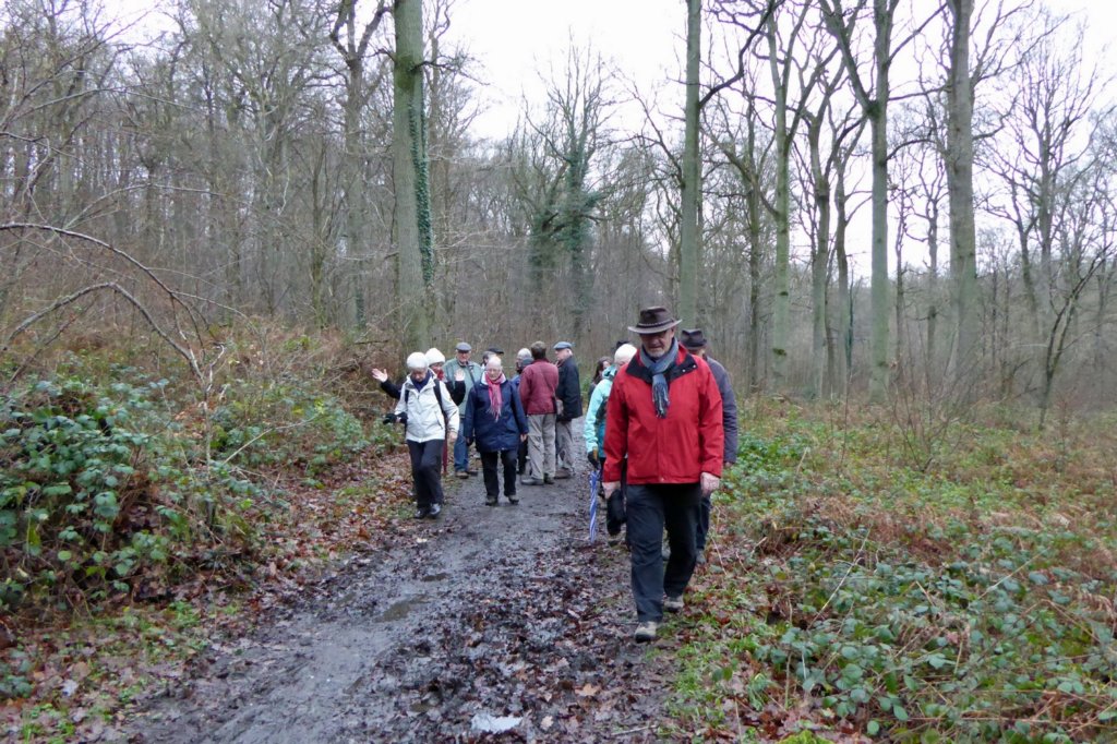 oudheverlee21.jpg