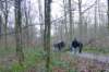 oudheverlee22_small.jpg
