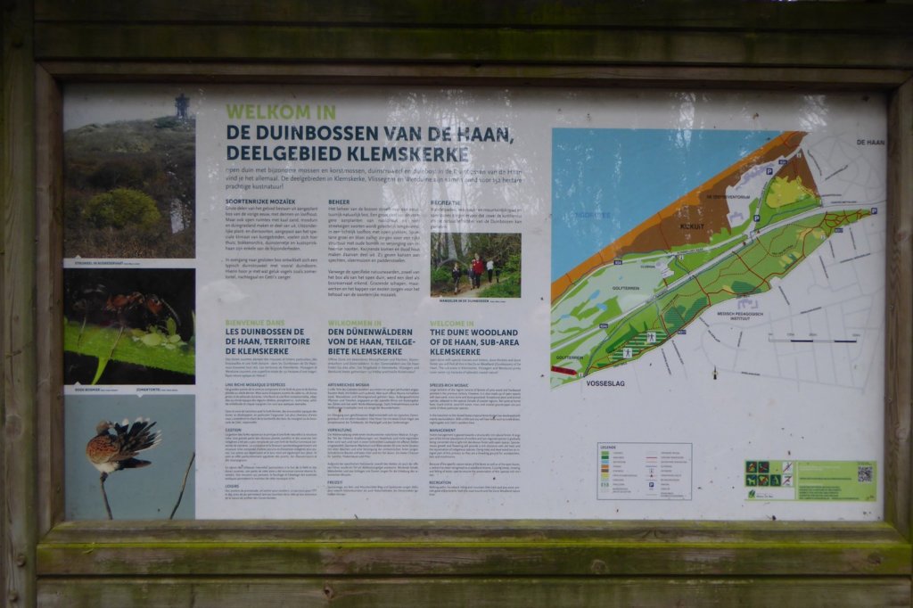 oostende20.jpg