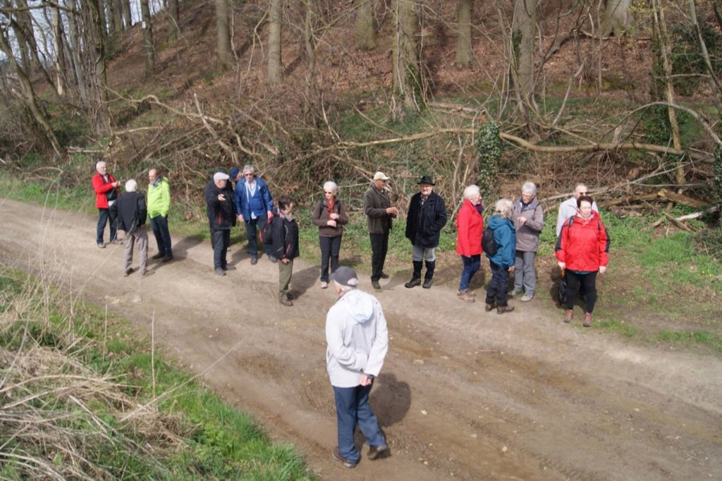 everberg07.jpg