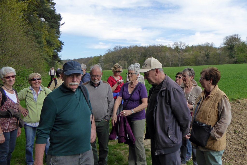 meerbeek17.jpg