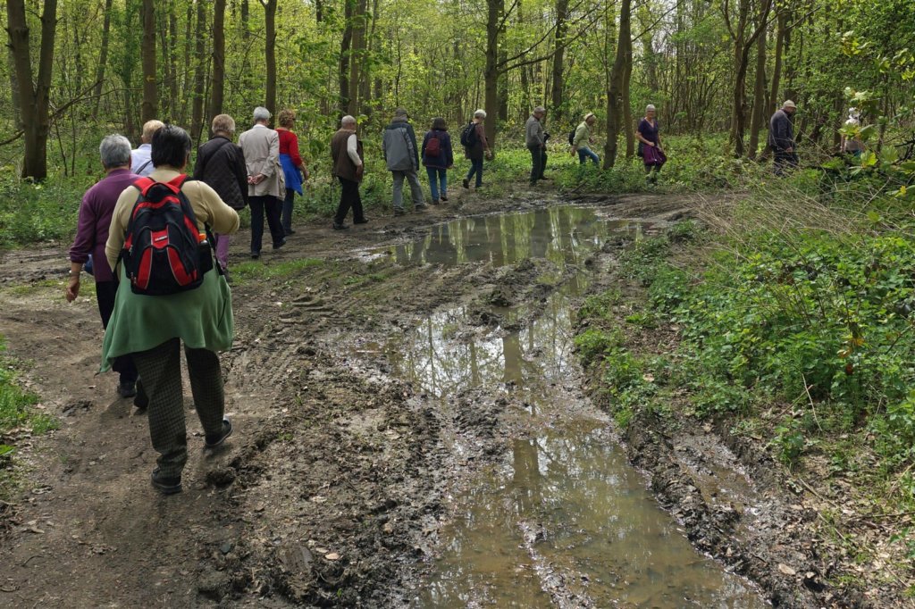 meerbeek18.jpg