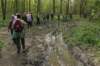 meerbeek18_small.jpg