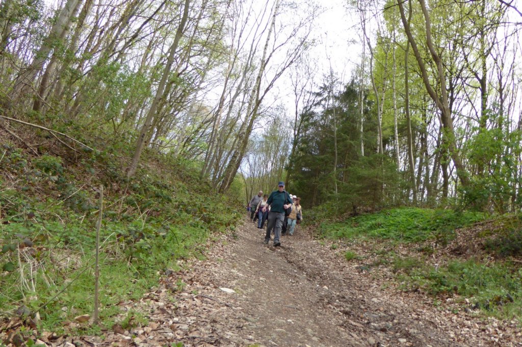 meerbeek20.jpg