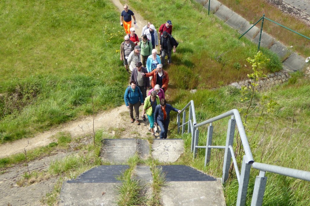 winksele06.jpg