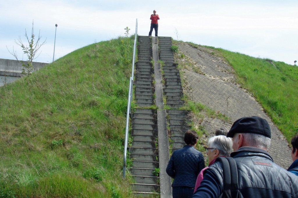 winksele07.jpg