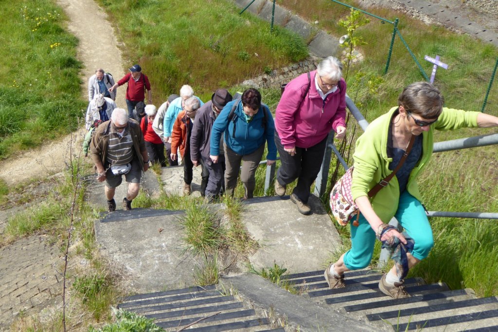winksele08.jpg