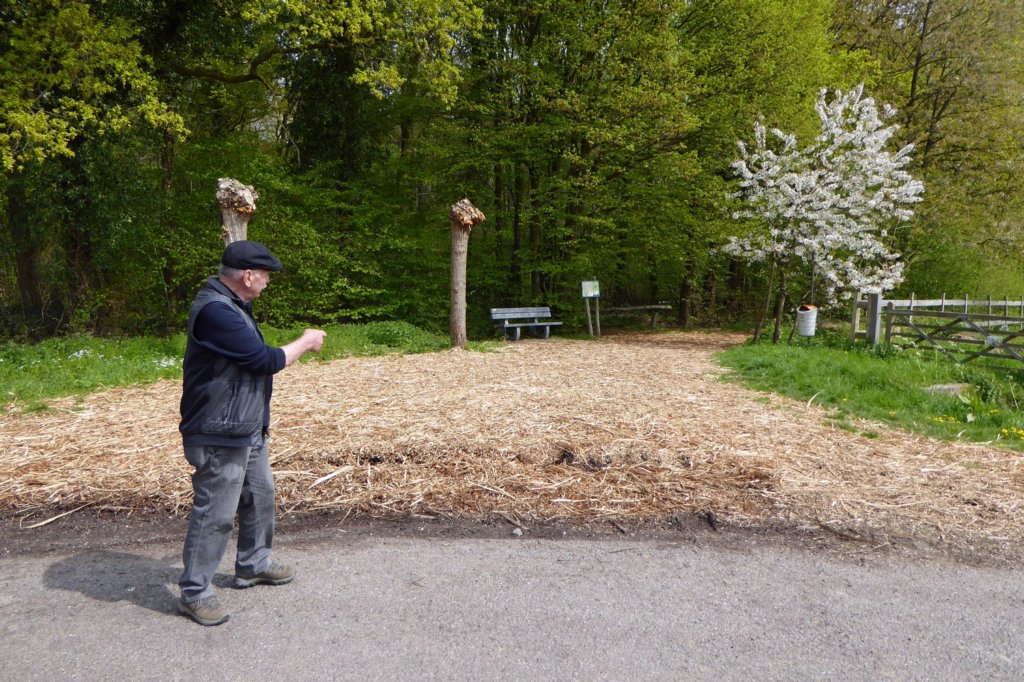 winksele15.jpg