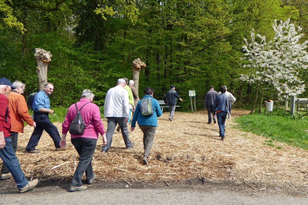 winksele16.jpg