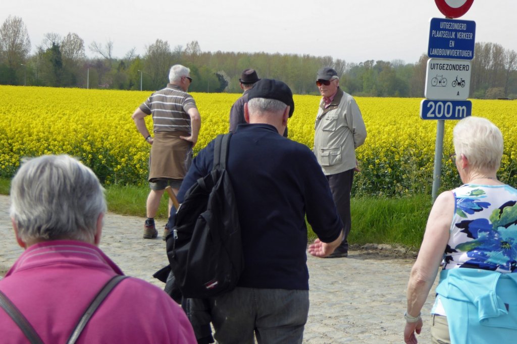 winksele21.jpg