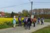 winksele22_small.jpg