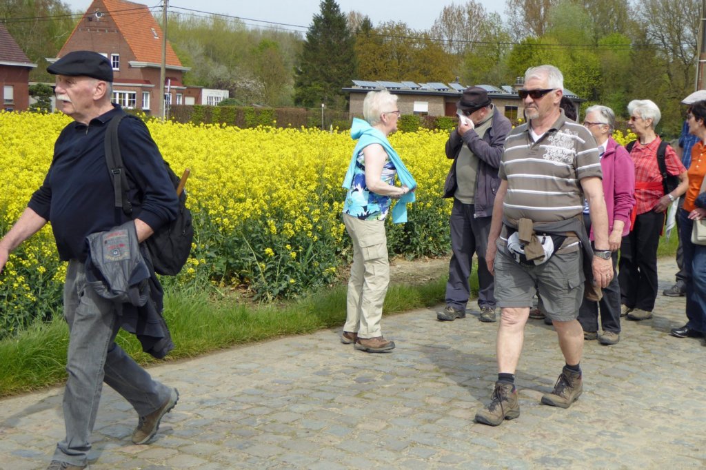 winksele23.jpg