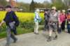winksele23_small.jpg