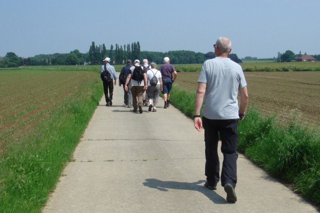 pellenberg06.jpg