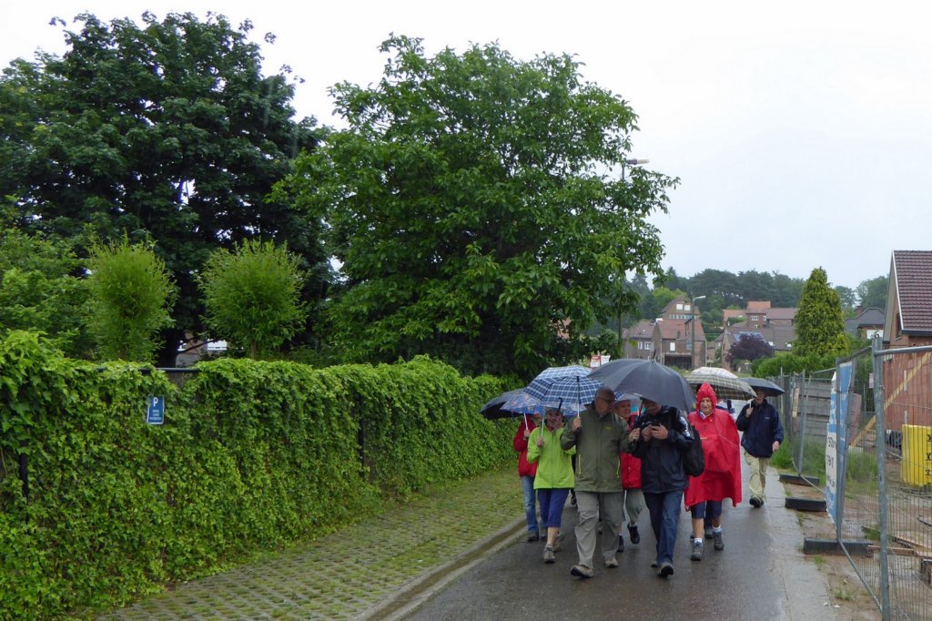 stjorisweert01.jpg