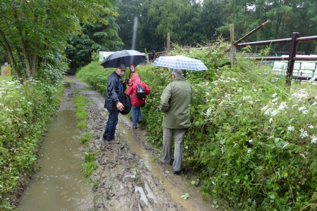 stjorisweert06.jpg
