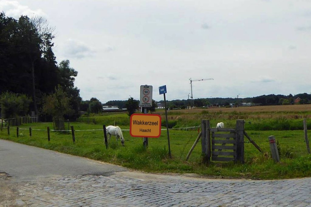 wakkerzeel09.jpg
