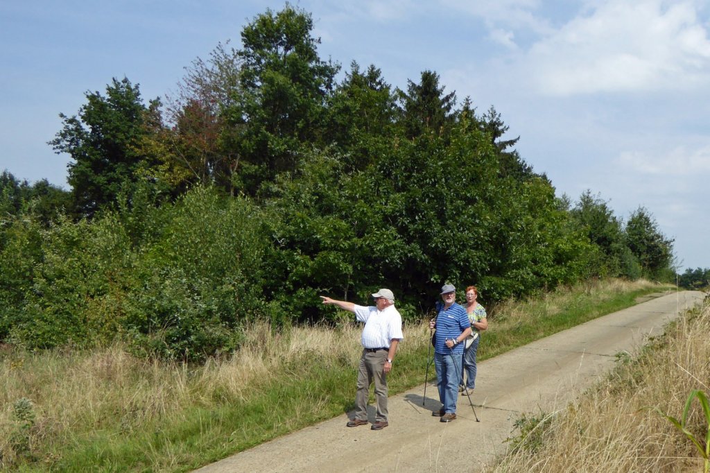 lubbeek16.jpg