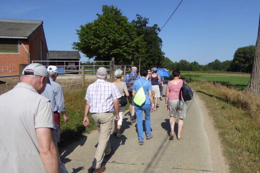 lubbeek04.jpg