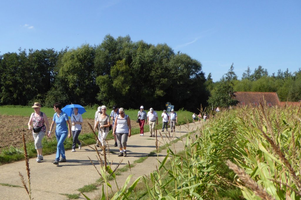 lubbeek09.jpg