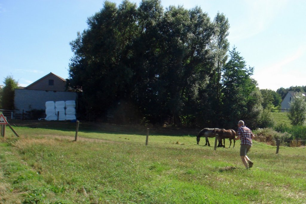 lubbeek17.jpg
