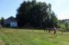 lubbeek17_small.jpg
