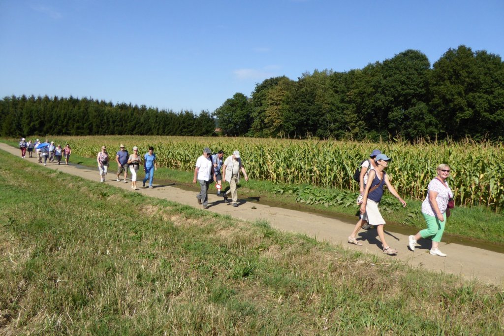 lubbeek18.jpg