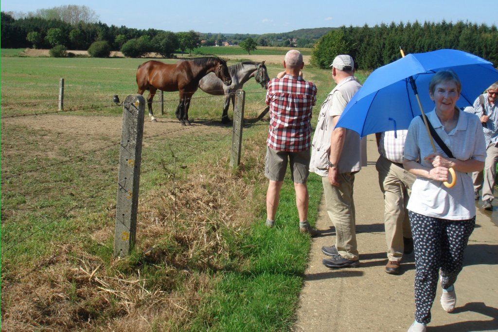 lubbeek21.jpg