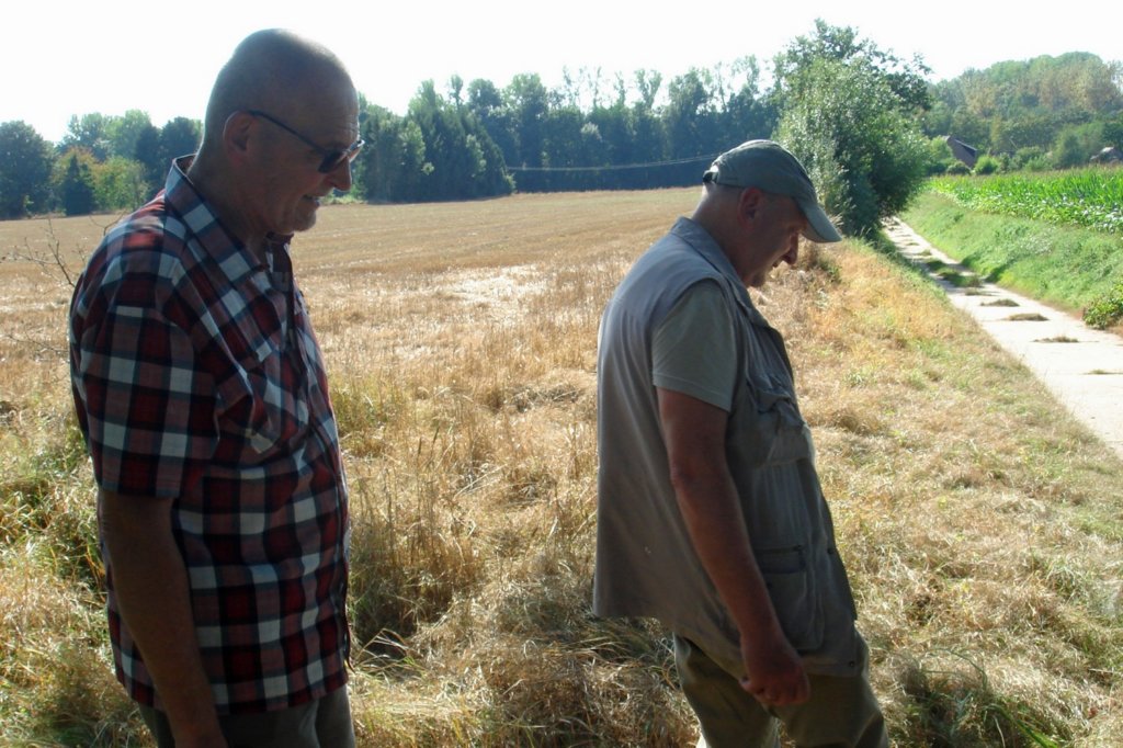 lubbeek27.jpg