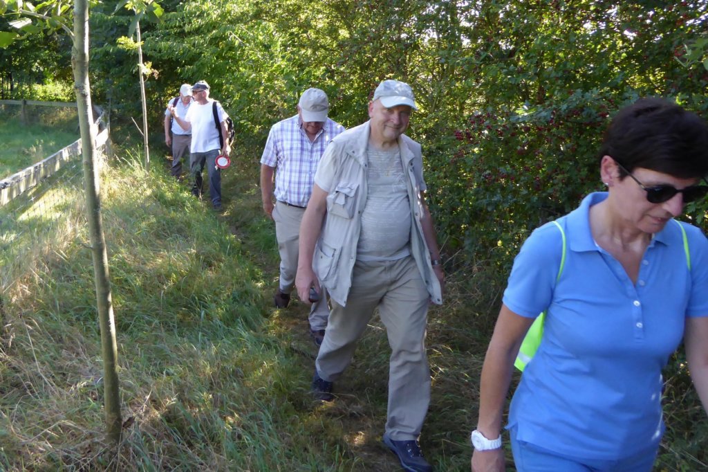 lubbeek29.jpg