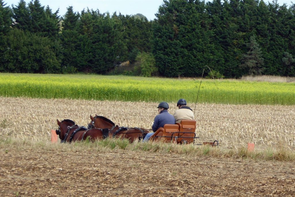 rode15.jpg