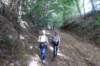 rode20_small.jpg