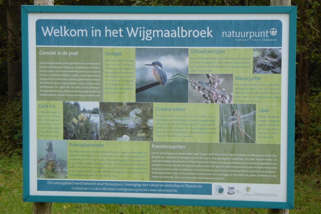 wijgmaal12.jpg