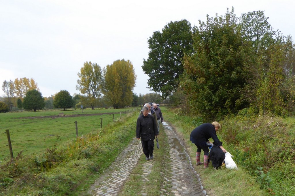 wijgmaal16.jpg