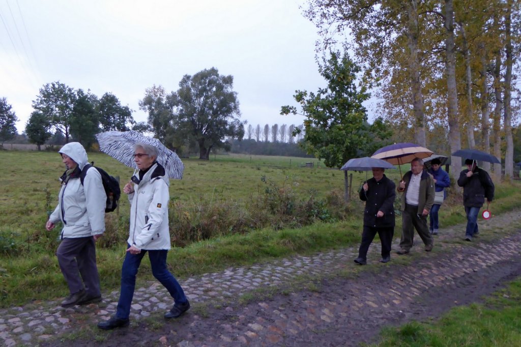 wijgmaal17.jpg