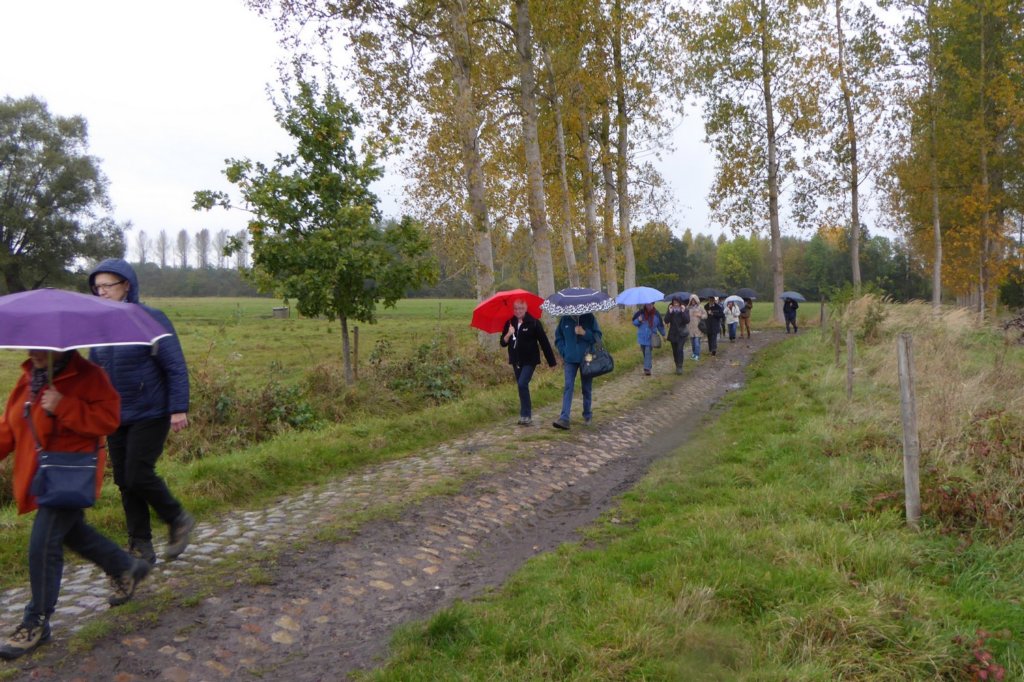 wijgmaal18.jpg