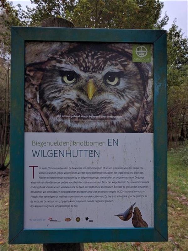 wespelaar04.jpg