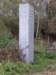 wespelaar10_small.jpg