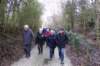winksele05_small.jpg