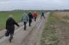 winksele12_small.jpg